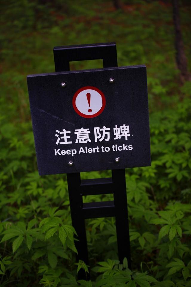 СĄeˣ䌍ɽɽ
