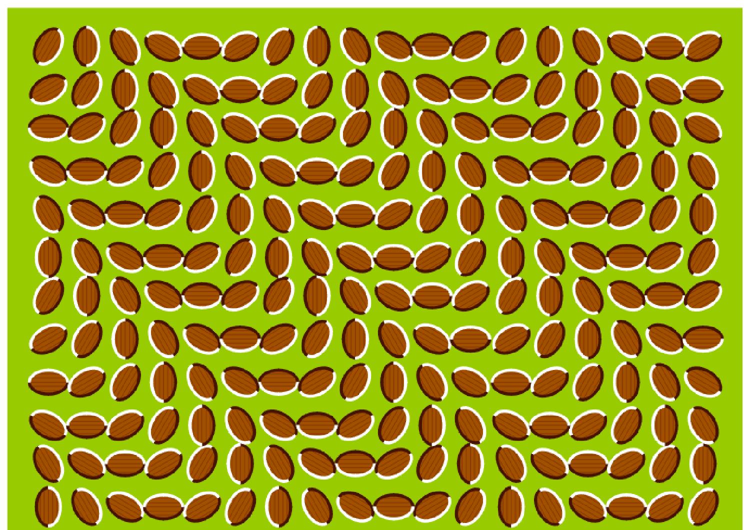 W4≺DǏӵyķ扺