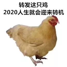 ꌣãWղİ