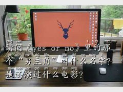 yes or no ,Ո