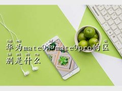 Amate9mate9 pro