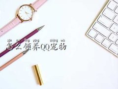 qqiiM(fi)I(lng)B(yng),