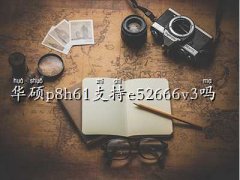 ATp8h61,ATp8