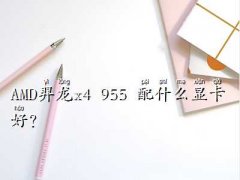 amd955ʲô@,A