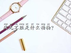 (zhn)o(w)ָʲôФ,