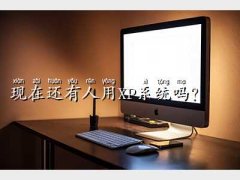 windowsxpϵy(tng),F(xin)