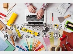 ü,鷿