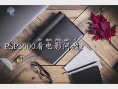 pspӰD(zhun)Q,PSP300