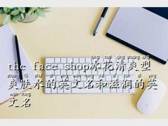 the face shop ,t