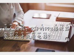 psp ppa,_ָ̣PS