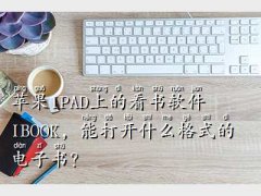 ipadӕʽ,OI