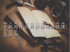 Ƅ֙CϾWٶ,