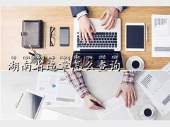 `ӛ䛲ԃ,