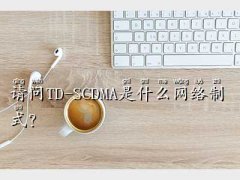 td-scdmaʲôW(wng)j(lu),