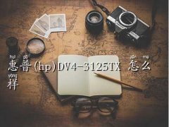 dv4-3125tx,(