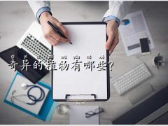 殐ֲ,殐ֲ