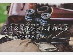 ~cϡᷴ(yng),
