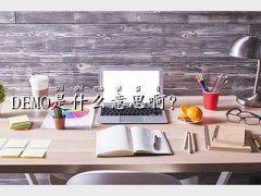 demoʲô˼,DEMO