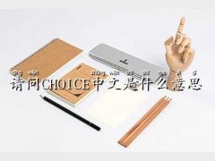 choiceʲô˼,Ո