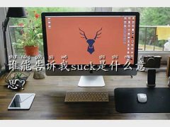 suckʲô˼,lܸ